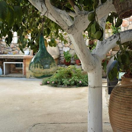 فيلا Fioro Stone House تسيليفي المظهر الخارجي الصورة